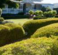 Whiskey Gully Wines - Hobart Tourism