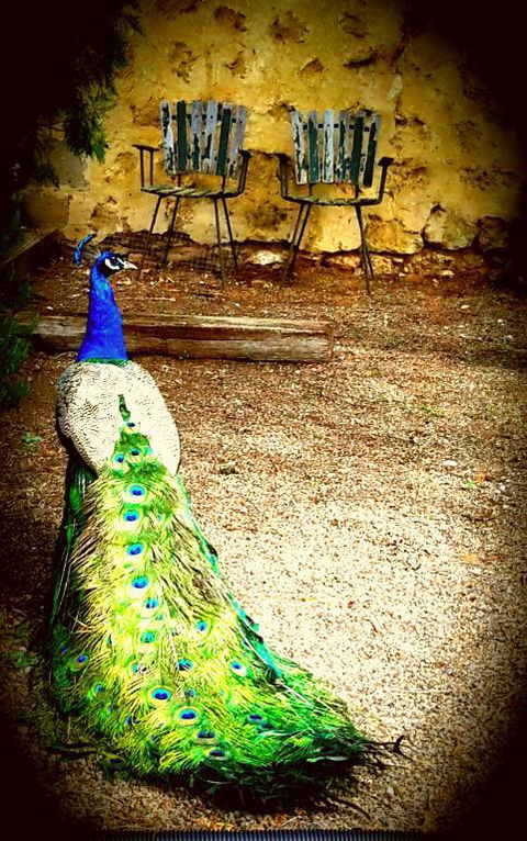 A La Folly - Tourism TAS 4