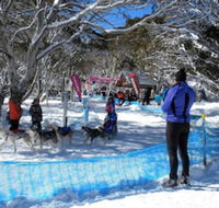 Cloud 9 Alpine Lodge - Hobart Tourism