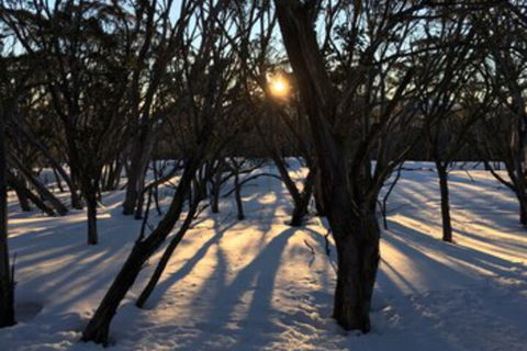 Cloud 9 Alpine Lodge - Hobart Tourism 1