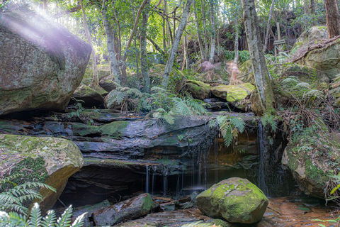 Waterfall Springs Retreat And Wildlife Sanctuary - Tourism TAS 3