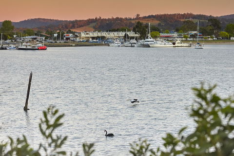 Bayside Hotel - Tourism TAS 6