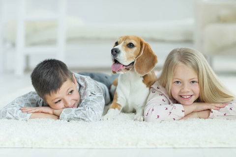BOUTIQUE STAYS - Brighton Abode - Tourism TAS 5