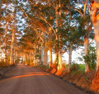 Innisfree Mountain Retreat - Tourism TAS