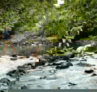 Sharlynn by the River - Tourism TAS