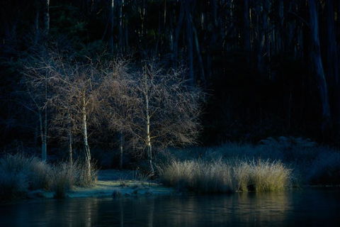 Naivasha Cottage - Tourism TAS 3