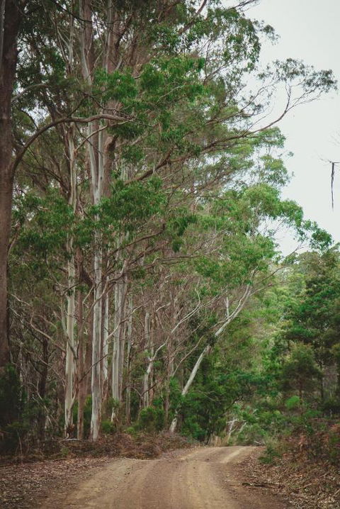 Naivasha Cottage - Tourism TAS 2