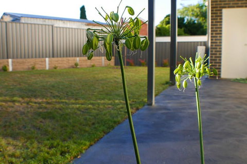 Maison Executive - Hobart Tourism 3