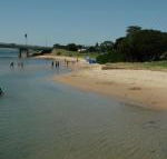 Black Dolphin Waterfront Apartment - Tourism TAS