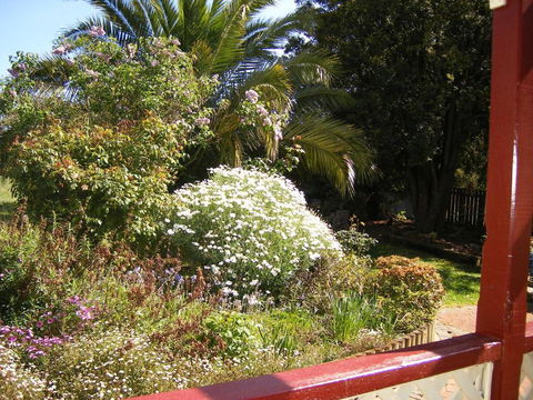 Belle Cottage - Tourism TAS 1