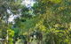 Banyan Tree Resort - thumb 0