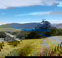 Eaglehawk Rainforest Retreat - Tourism TAS