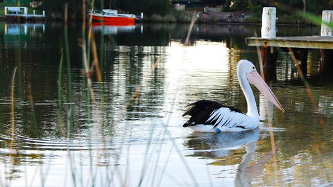 Riverfront Delight - Hobart Tourism 4