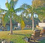 The Oasis on Jacobs Drive - Hobart Tourism
