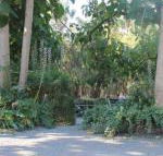 Avoca Park - Tourism TAS