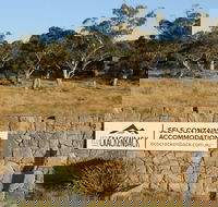 Ecocrackenback 16 'Sustainable chalet close to the slopes.' - Hobart Tourism
