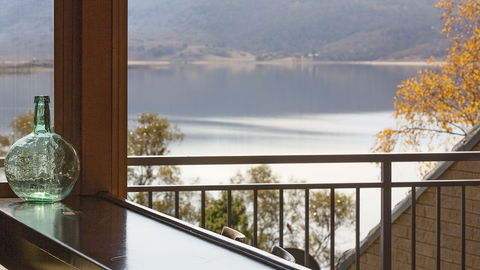 Grey Kangaroo- On Lake Jindabyne Foreshore - Hobart Tourism 1