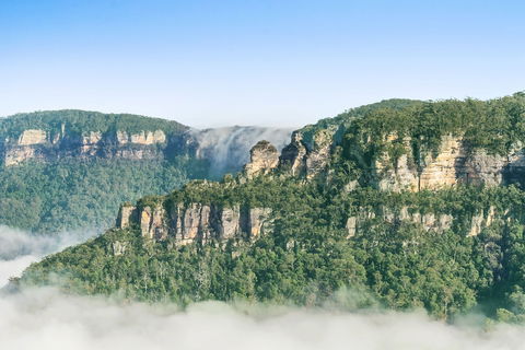 Coolabah - Tourism TAS 0