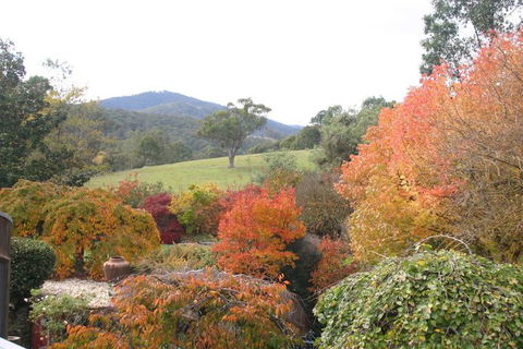 Riverhouse At Howqua Dale - Tourism TAS 5