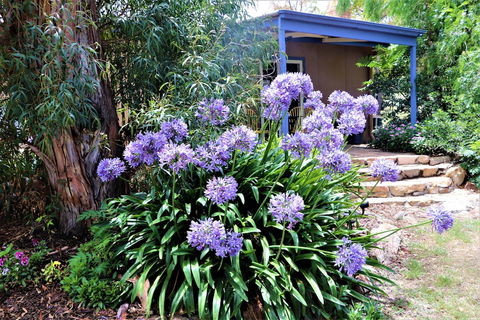 A Stanthorpe Getaway - Tourism TAS 4