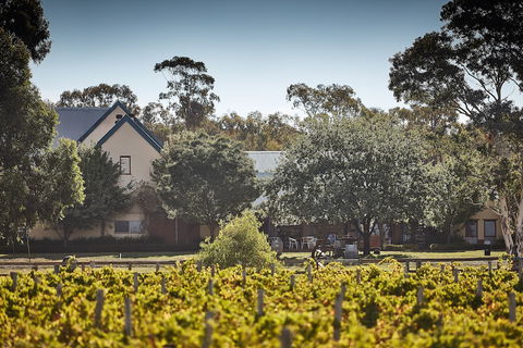 Balgownie Estate Winery Retreat & Restaurant - Hobart Tourism 3