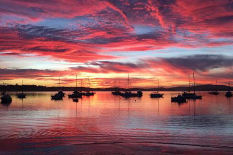 Ambience - Tourism TAS 0