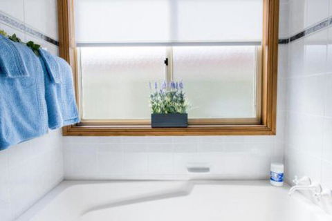 Ambience - Tourism TAS 5