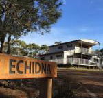 Echidna on Bruny - Tourism TAS