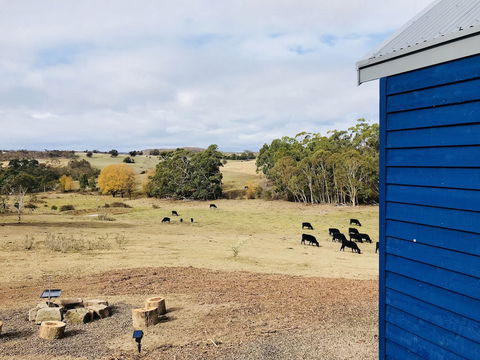 In2thewild - Walden - Hobart Tourism 7