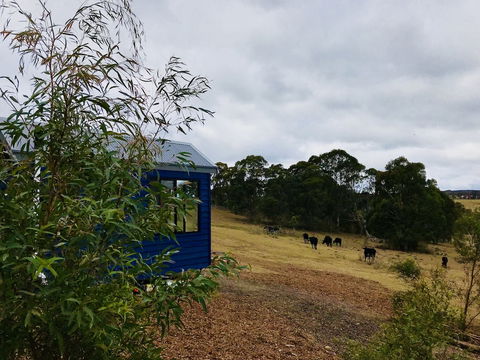 In2thewild - Walden - Hobart Tourism 1
