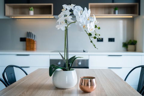 Youngtown Executive Apartments - Hobart Tourism 7
