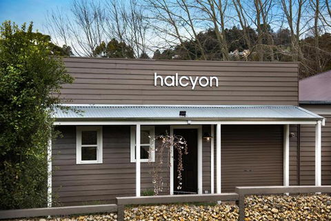 Halcyon - Tourism TAS 3