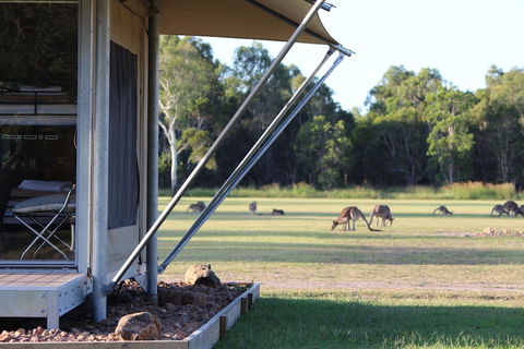 Habitat Noosa - Hobart Tourism 3