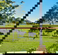Curra Homestead Maleny - Hobart Tourism