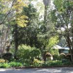 Two Sisters Chalets - Hobart Tourism 1