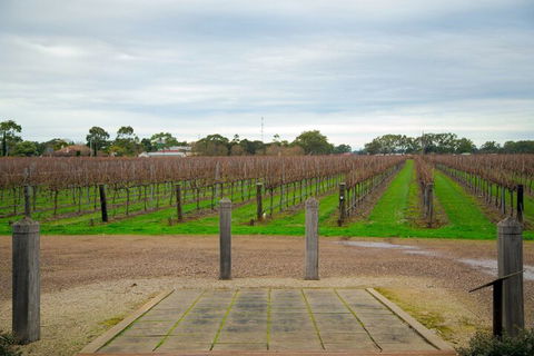Yalumba Menzies Retreat - Tourism TAS 4