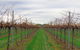 Yalumba Menzies Retreat - thumb 5