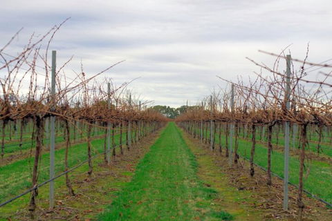 Yalumba Menzies Retreat - Tourism TAS 5