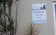Aqualuna Apartments - thumb 4