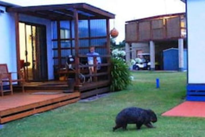 Kelso TAS Tourism TAS