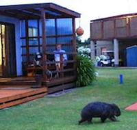 BIG4 Kelso Sands Holiday Park - Tourism TAS