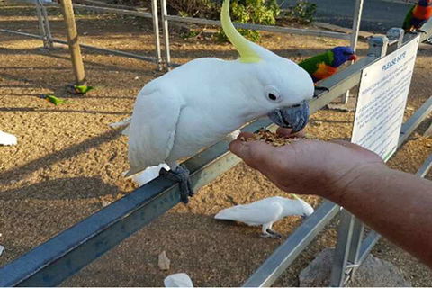 BIG4 Cania Gorge Holiday Park - Hobart Tourism 3