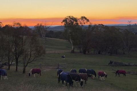 High Country Trail Rides & Farm Stay - Hobart Tourism 0