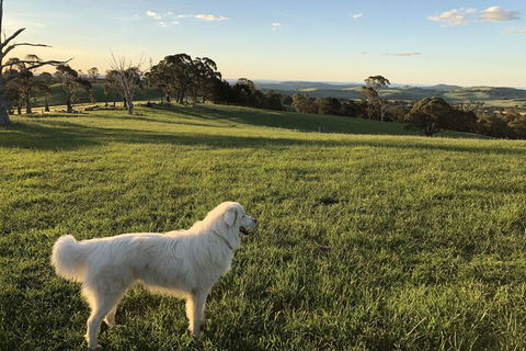 High Country Trail Rides & Farm Stay - Hobart Tourism 1