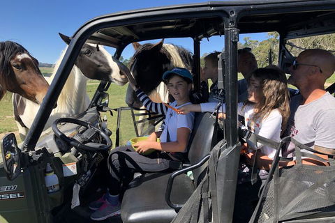High Country Trail Rides & Farm Stay - Hobart Tourism 4