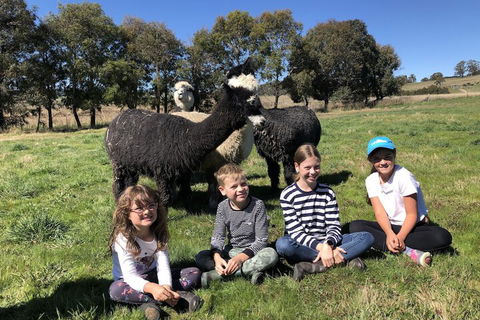High Country Trail Rides & Farm Stay - Hobart Tourism 3