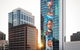 Art Series - The Adnate - thumb 2