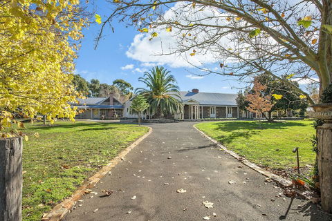 Orchards At Spring Vale Farm - Tourism TAS 2