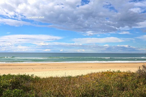 Banksia Sawtell NSW - Tourism TAS 4