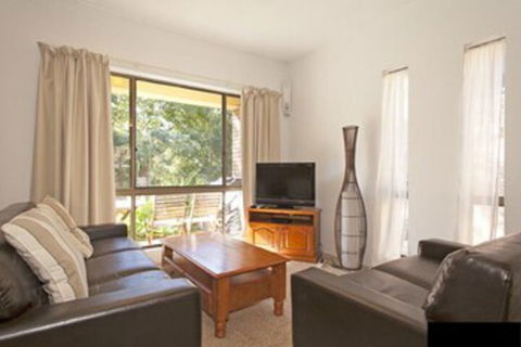 Banksia Sawtell NSW - Tourism TAS 0